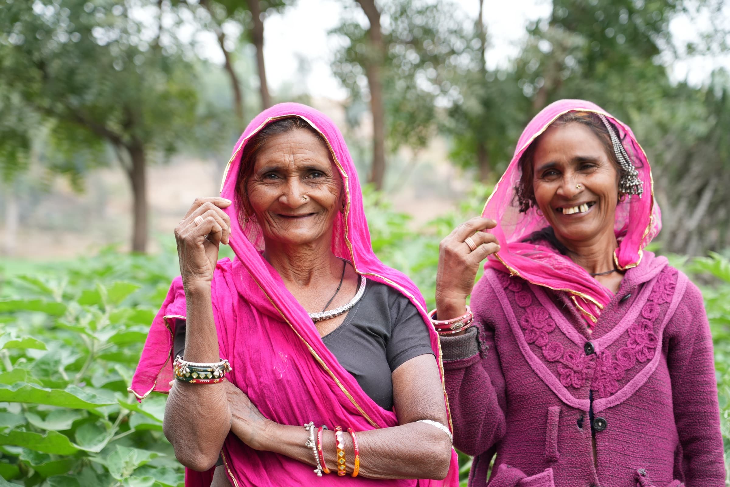 Field photograph from central India
