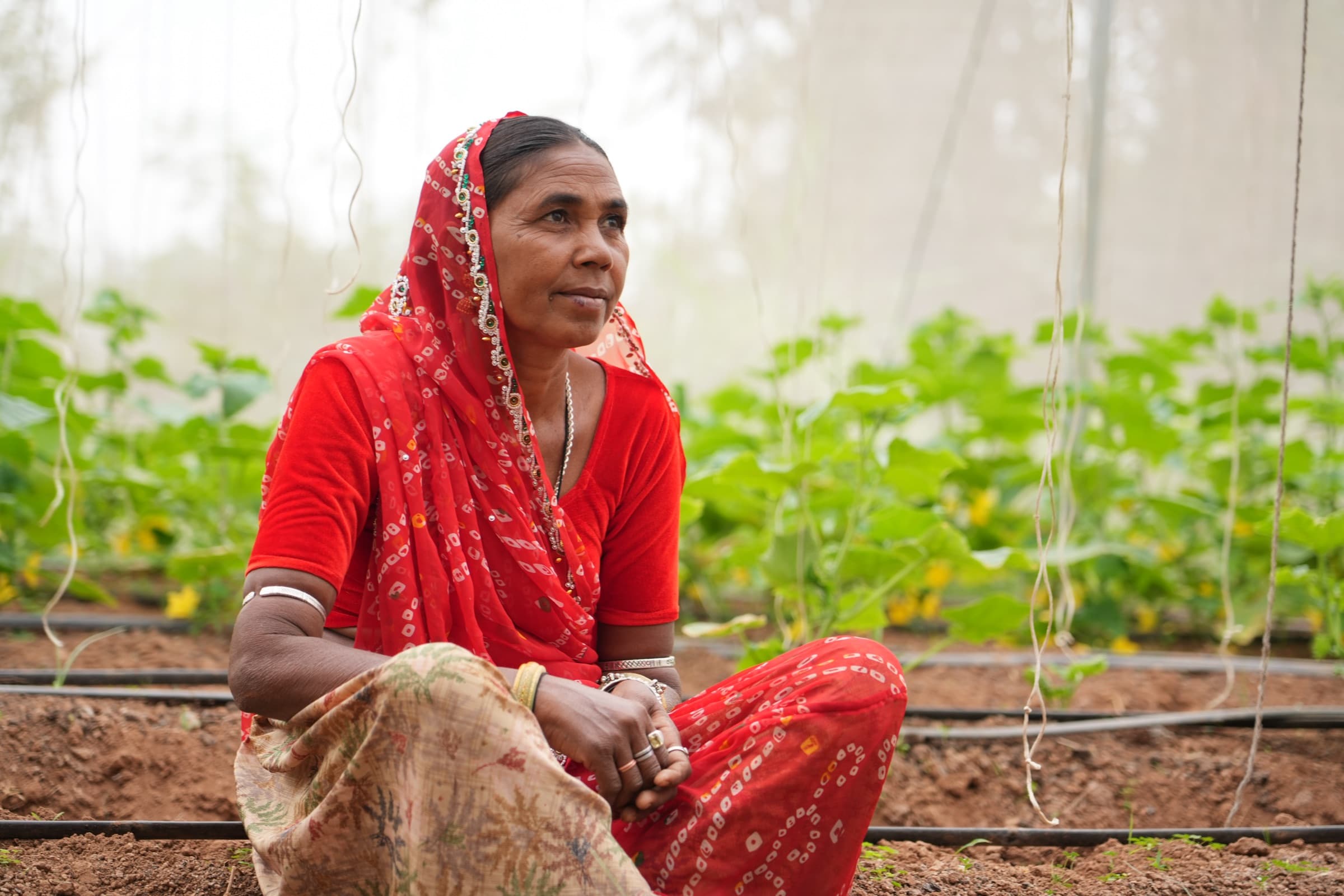 Grassroots documentary photography