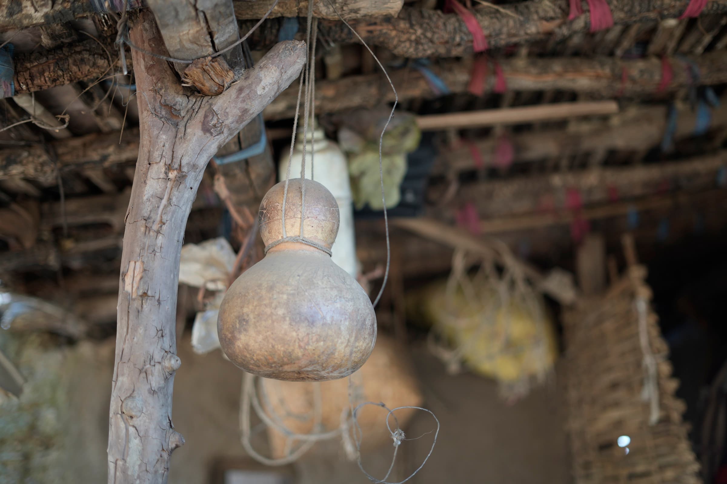 Community fieldwork in rural Madhya Pradesh