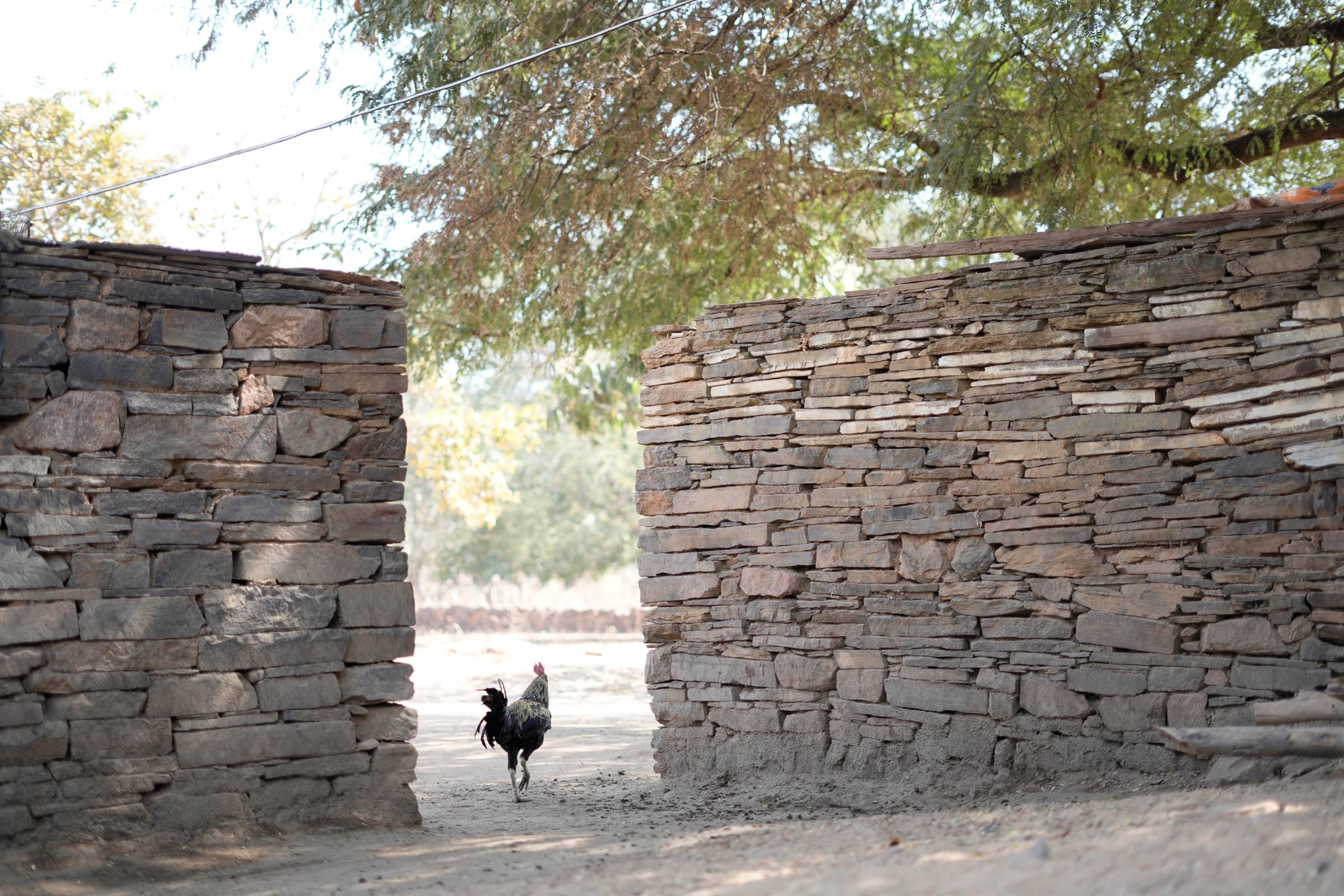 Field photograph from central India