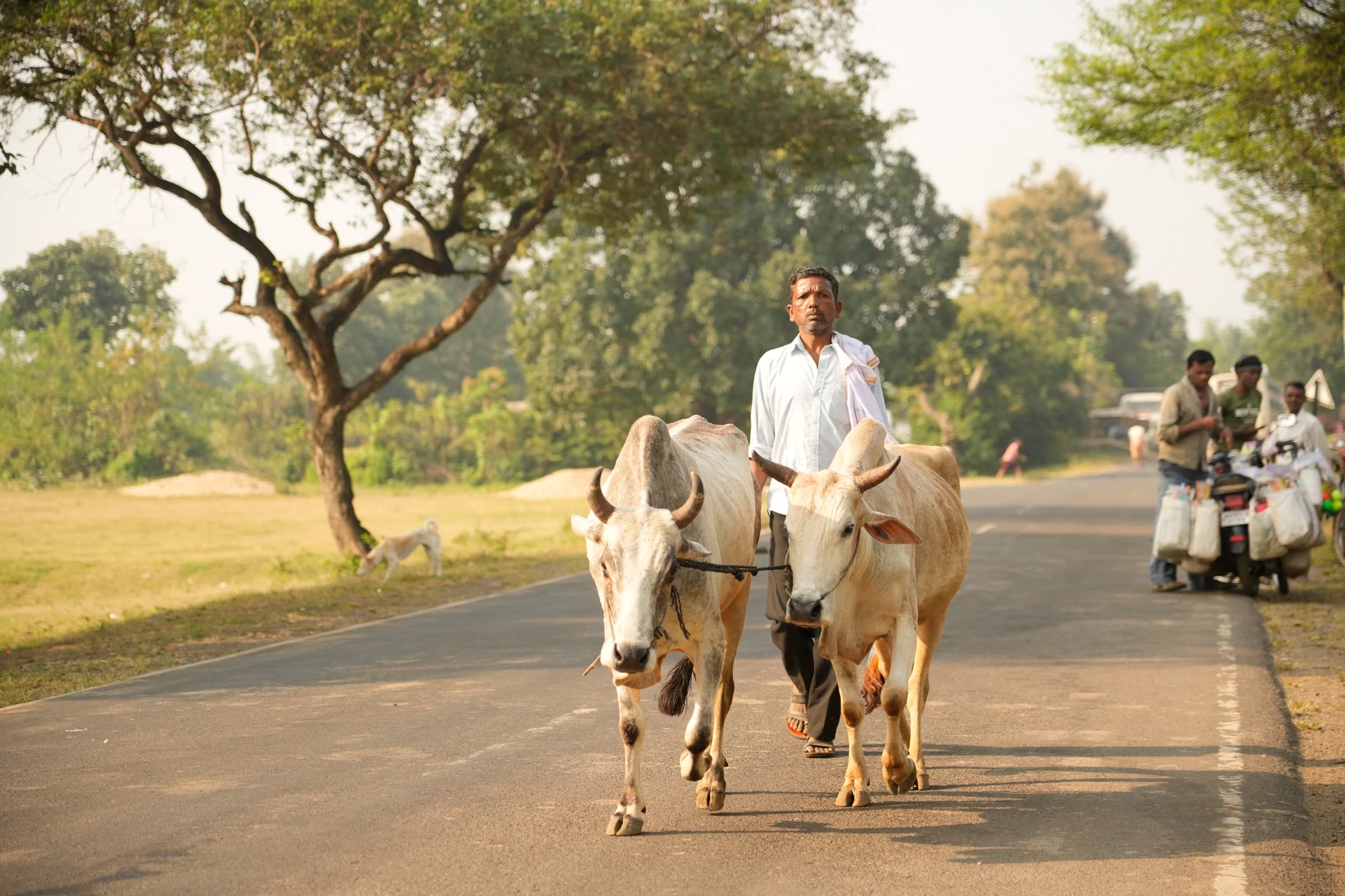 Grassroots documentary photography