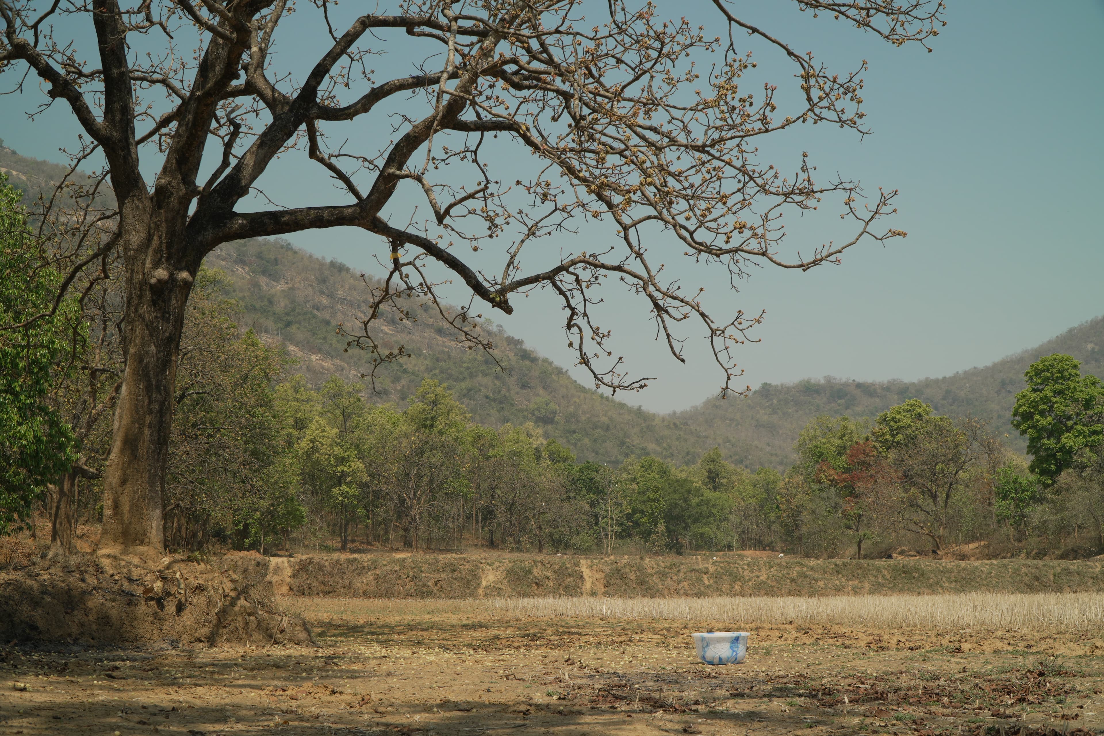 Flavors of Mahua — still 7