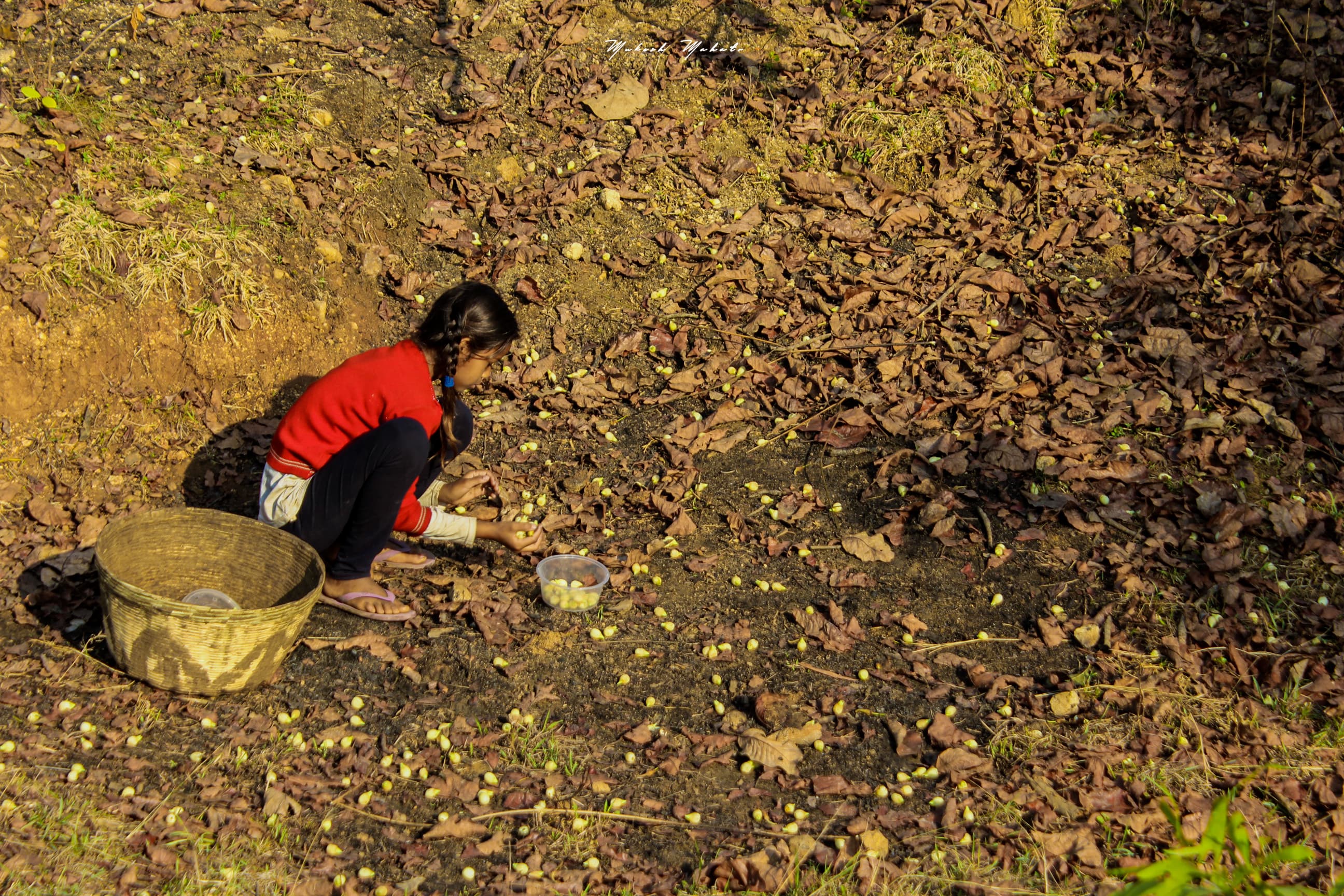 Flavors of Mahua — still 15